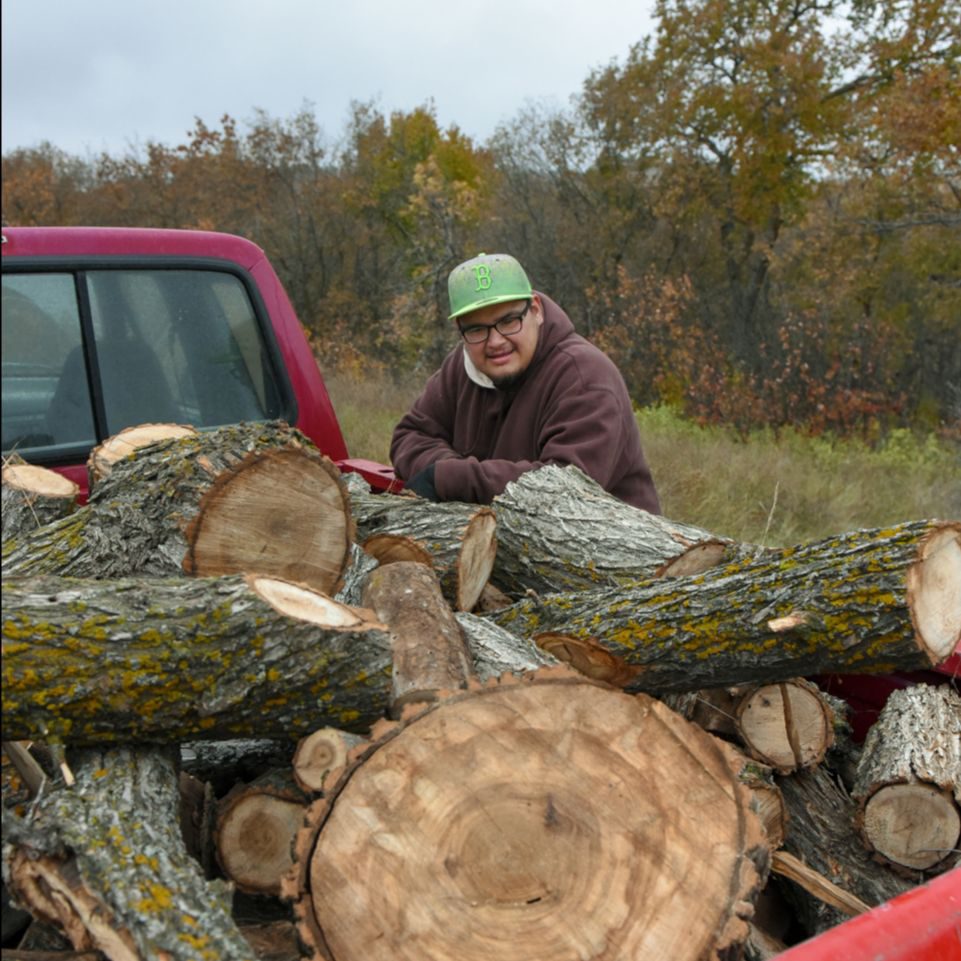 Holzverteilung