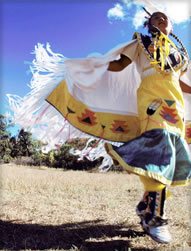 Fancy Dancer