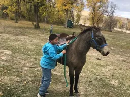 Horse Spirit Camp